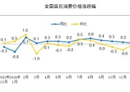 国家统计局：2024年12月份居民消费价格同比上涨0.1%|界面新闻 · 快讯